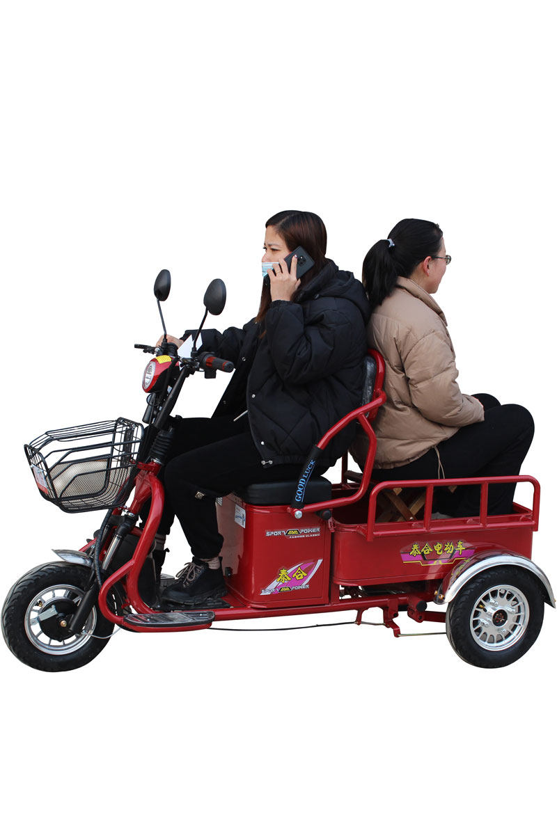 三轮车电动接送孩子成人老年老人老人家家用新款电动三轮车