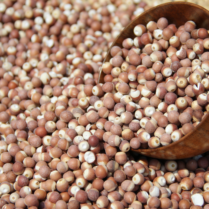 芡实干货500g新鲜农家自产新货欠实去湿湿气芡实