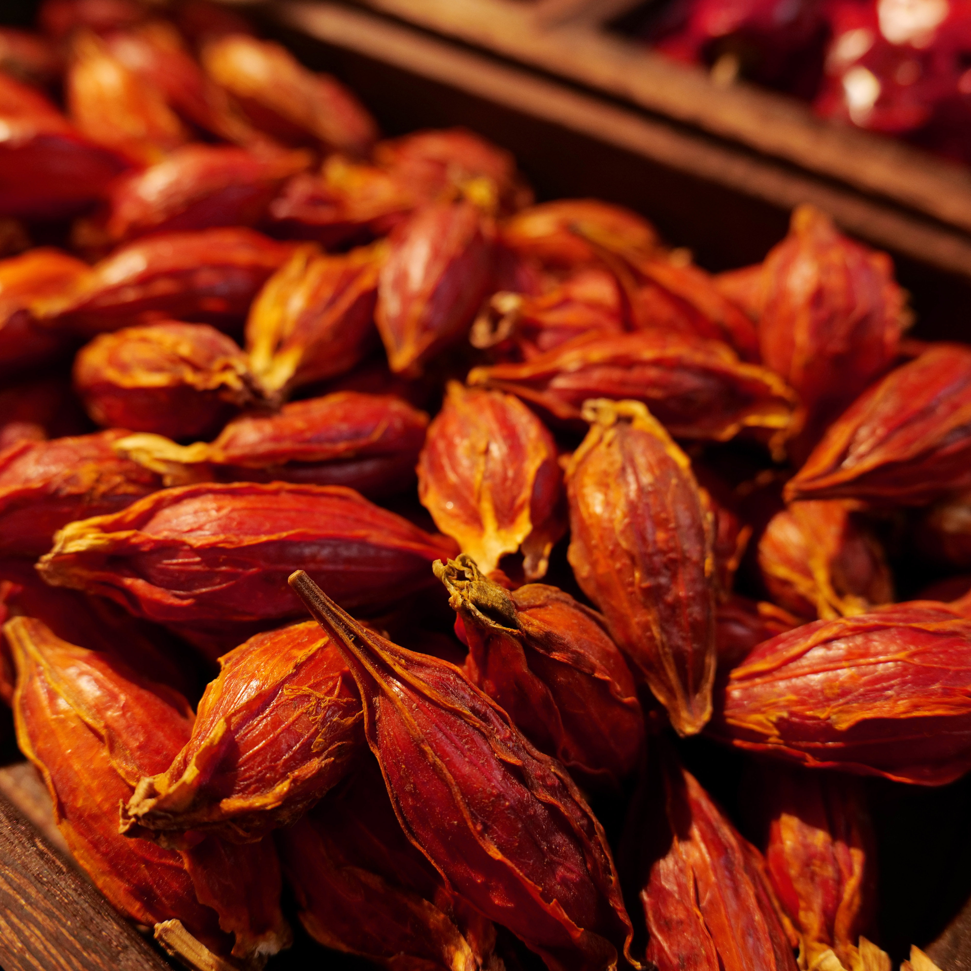 栀子陶辣中药材免费农产品食用无硫散装香料泡茶香辛料