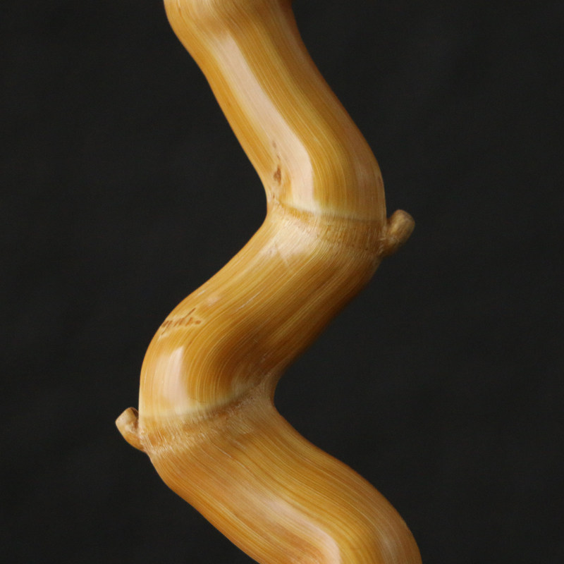 孤品一物一拍精品手工精磨天然异形龙头竹佛竹编