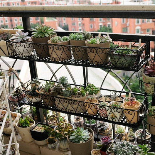 铁艺艺多肉植物架花架多层悬挂花盆架子阳台花架