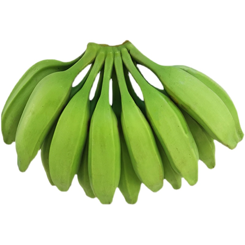 芭蕉新鲜水果10斤带箱酸甜大牛牛角巴焦食用香蕉