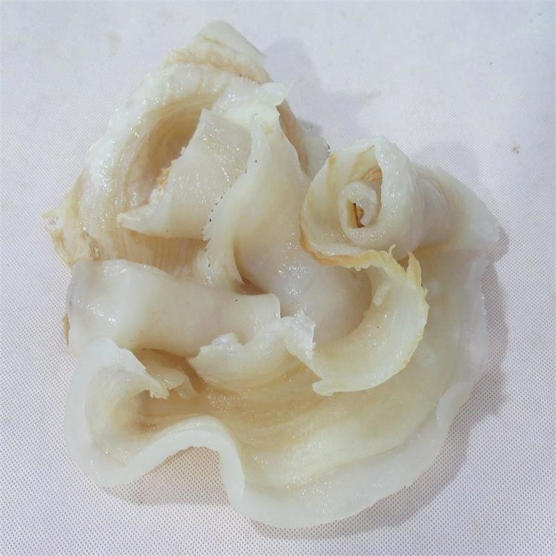 优质水发鱼唇跳墙煲汤扣煮鱼肚鱼胶酒店盘菜花胶