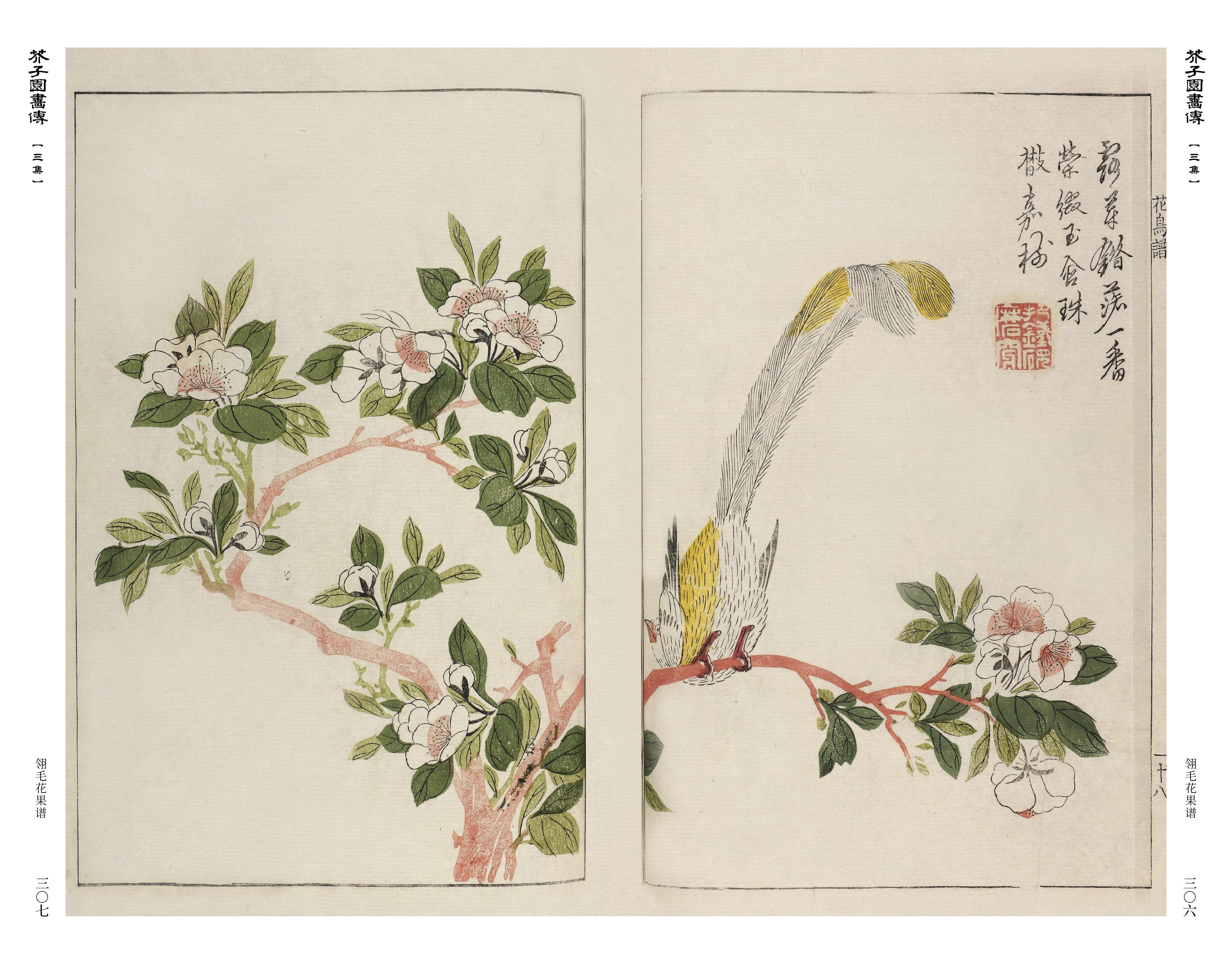 芥子园技法康熙画谱国画教材中国画画册梅兰竹菊花鸟绘画新