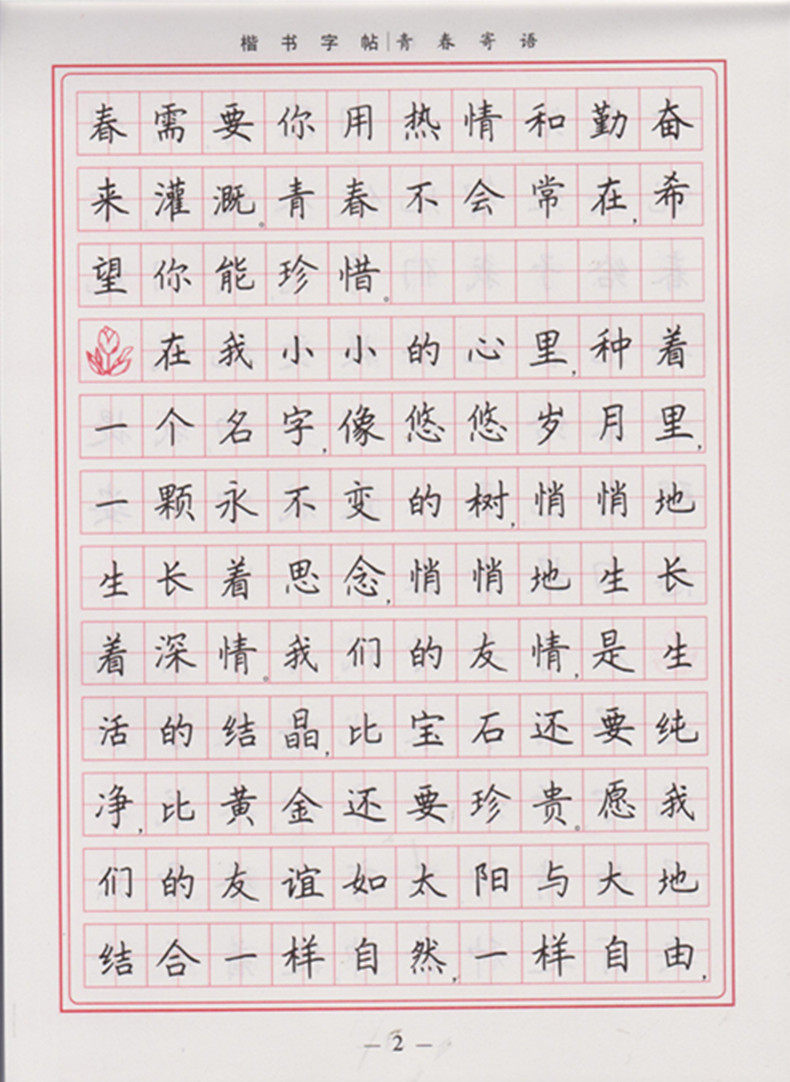 田英章钢笔硬笔练字贴 书写规范汉字成人学生钢笔字帖