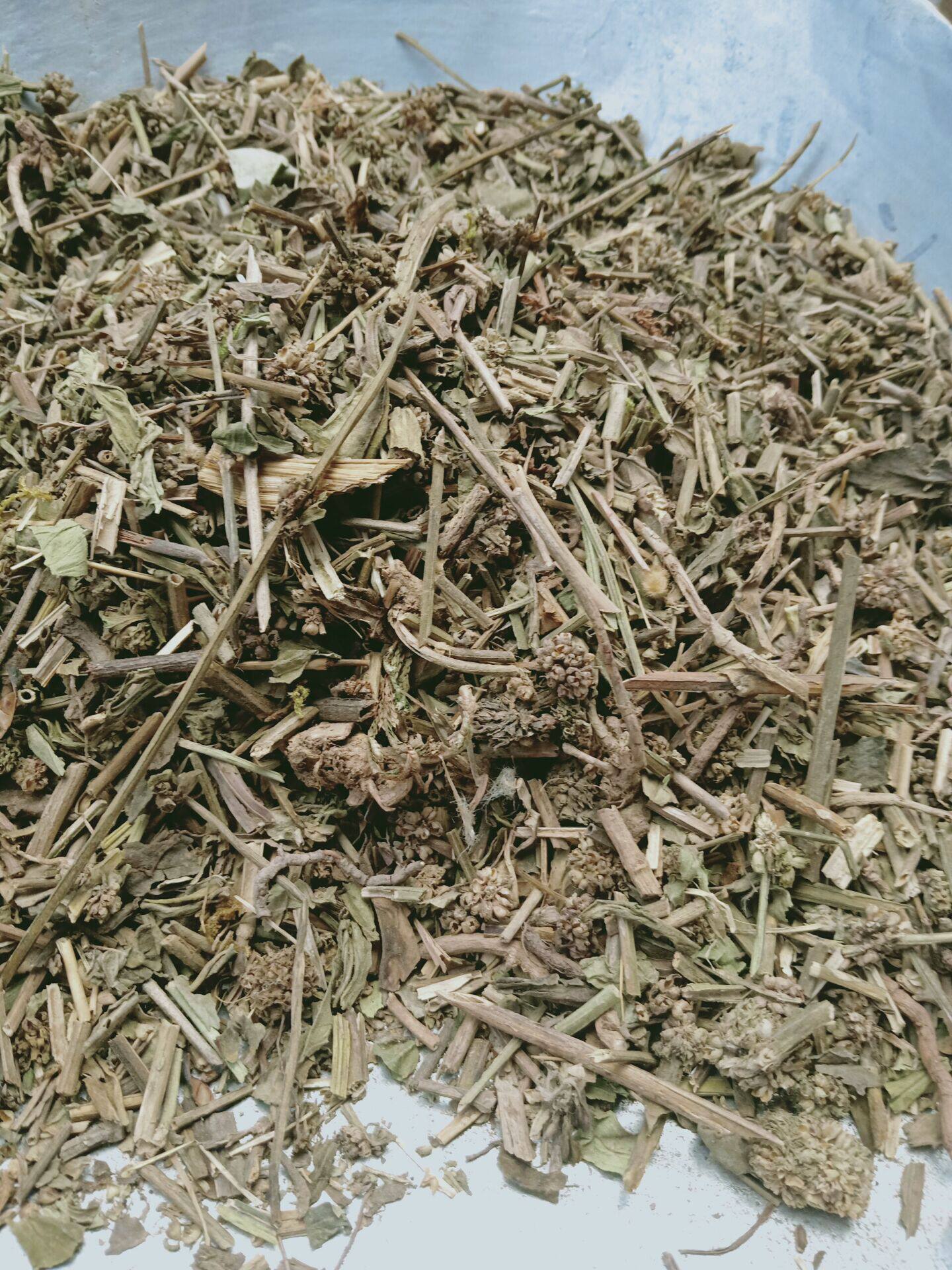 中药材麝香草毛麝香500克包邮麝香草饼草蓝花草毛射香五凉草