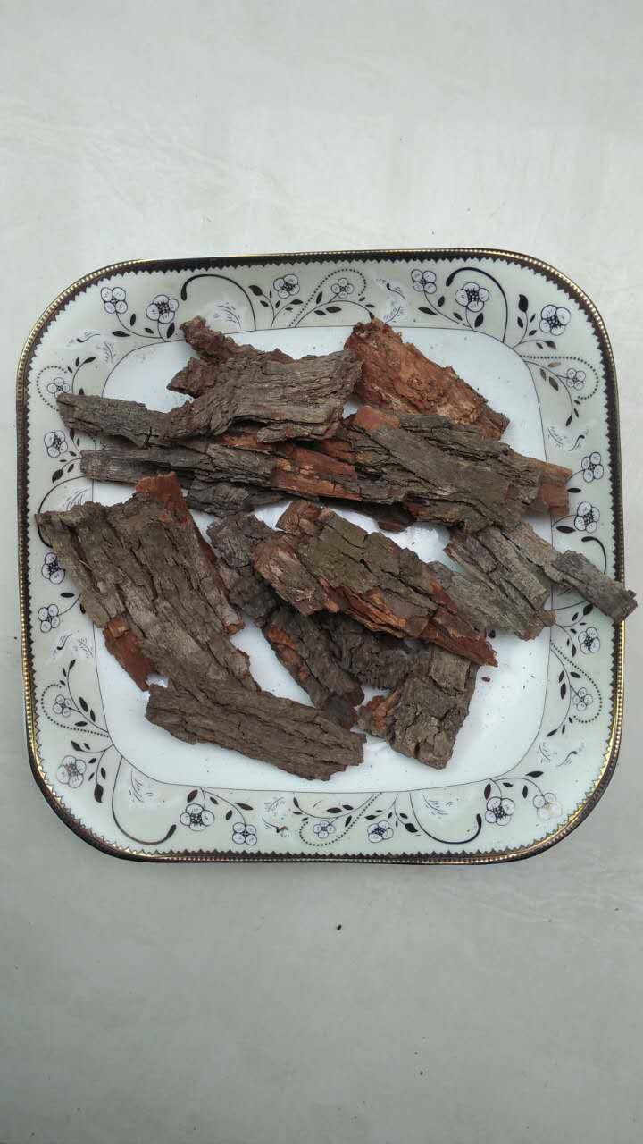 河北中药材老枣树皮红枣树皮片段沧州枣子原产地发货一