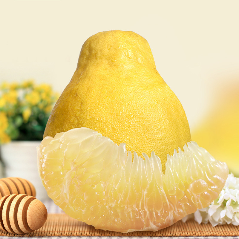 柚子广西特产容县沙田沙田柚正宗包邮12斤纯甜柚子