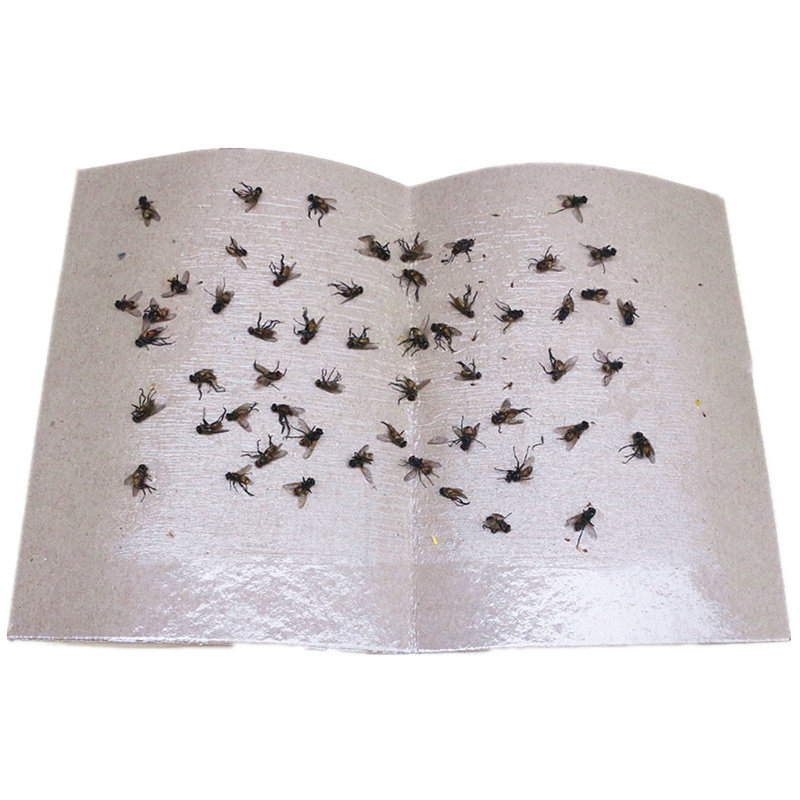 包邮大号苍蝇贴强力粘苍蝇纸家用粘蝇板灭苍蝇贴餐厅捕蝇器100张