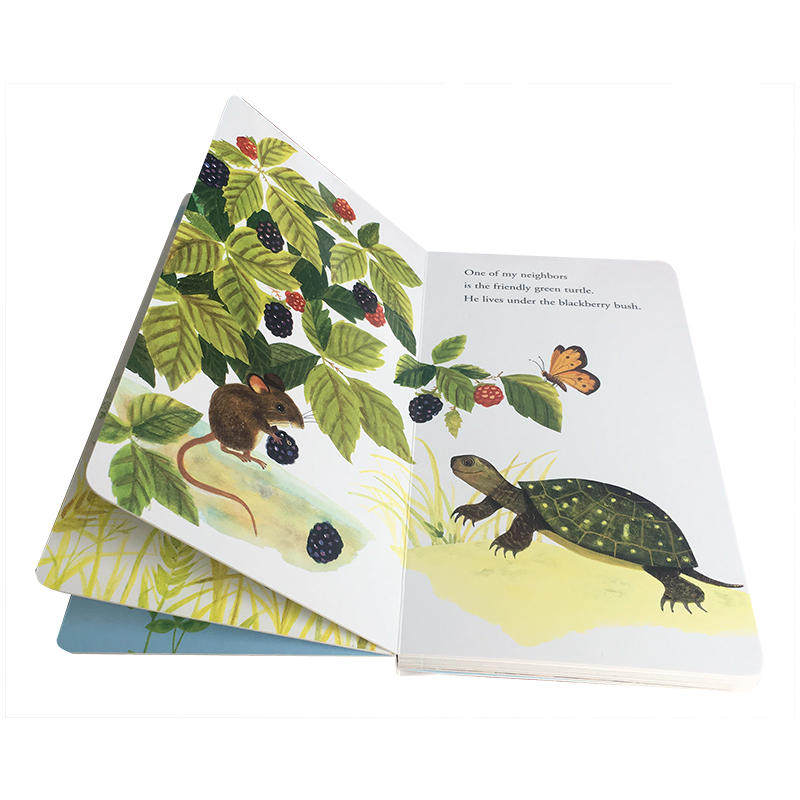 送音频英文原版3册绘本iamamousepuppykitten我是一只鼠仔0-3岁儿童