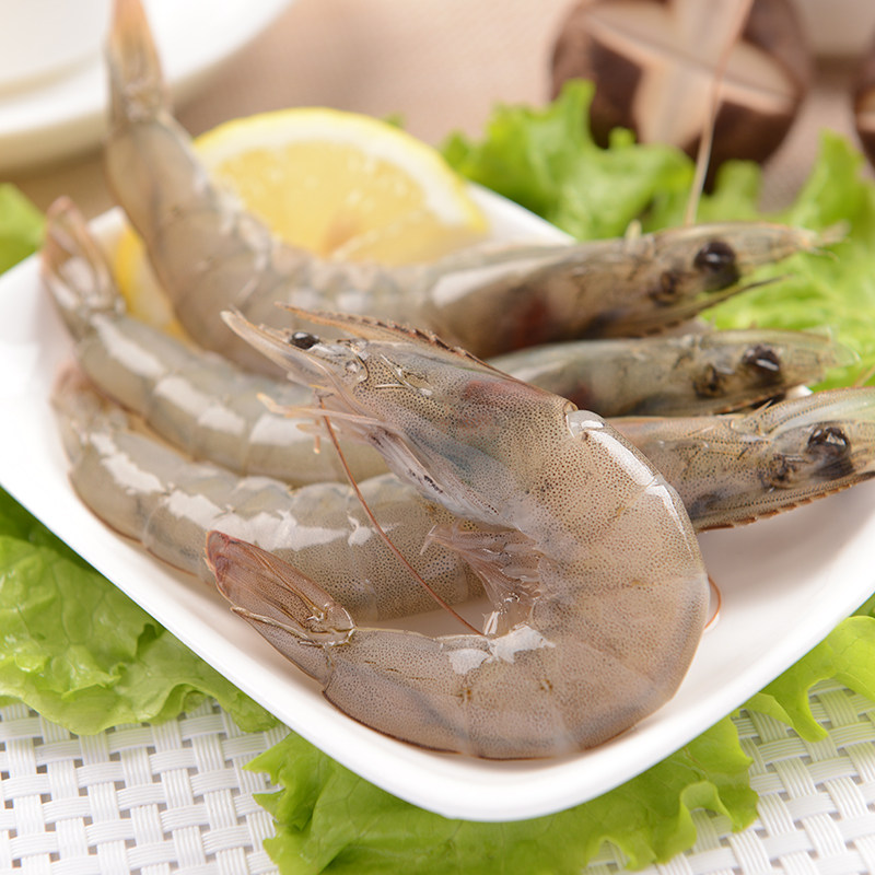 野生青岛大虾新鲜海鲜 鲜活鲜虾 对虾海虾明虾青虾基围虾白虾500g