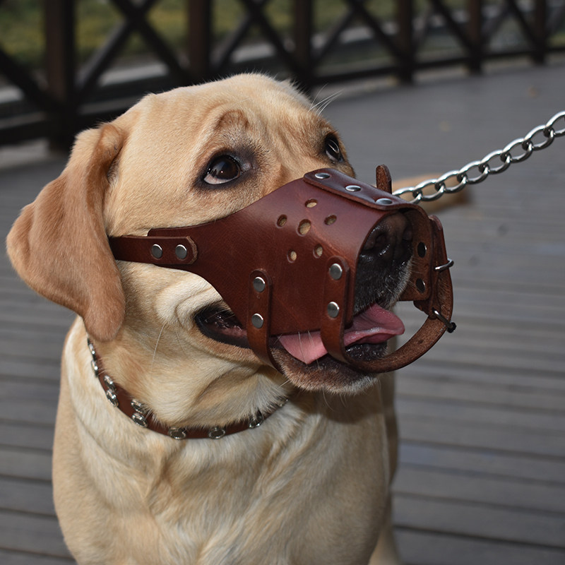 狗狗牛皮嘴罩防咬防叫大中小型金毛拉布布拉布拉多嘴套