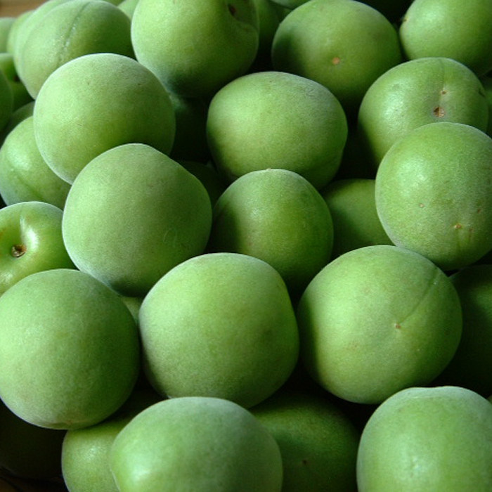 2018新鲜青梅上市梅子野生酸梅果现摘现发新鲜水果青梅酒5斤散装