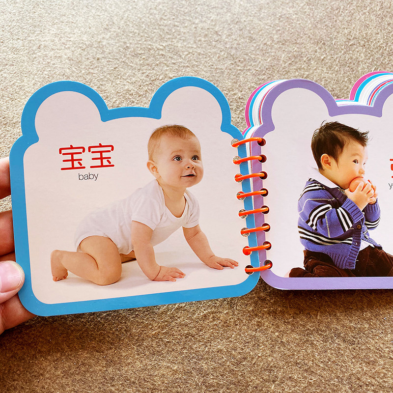 儿童早教看图宝宝挂图益智识物婴幼儿婴幼学龄前启蒙认知书