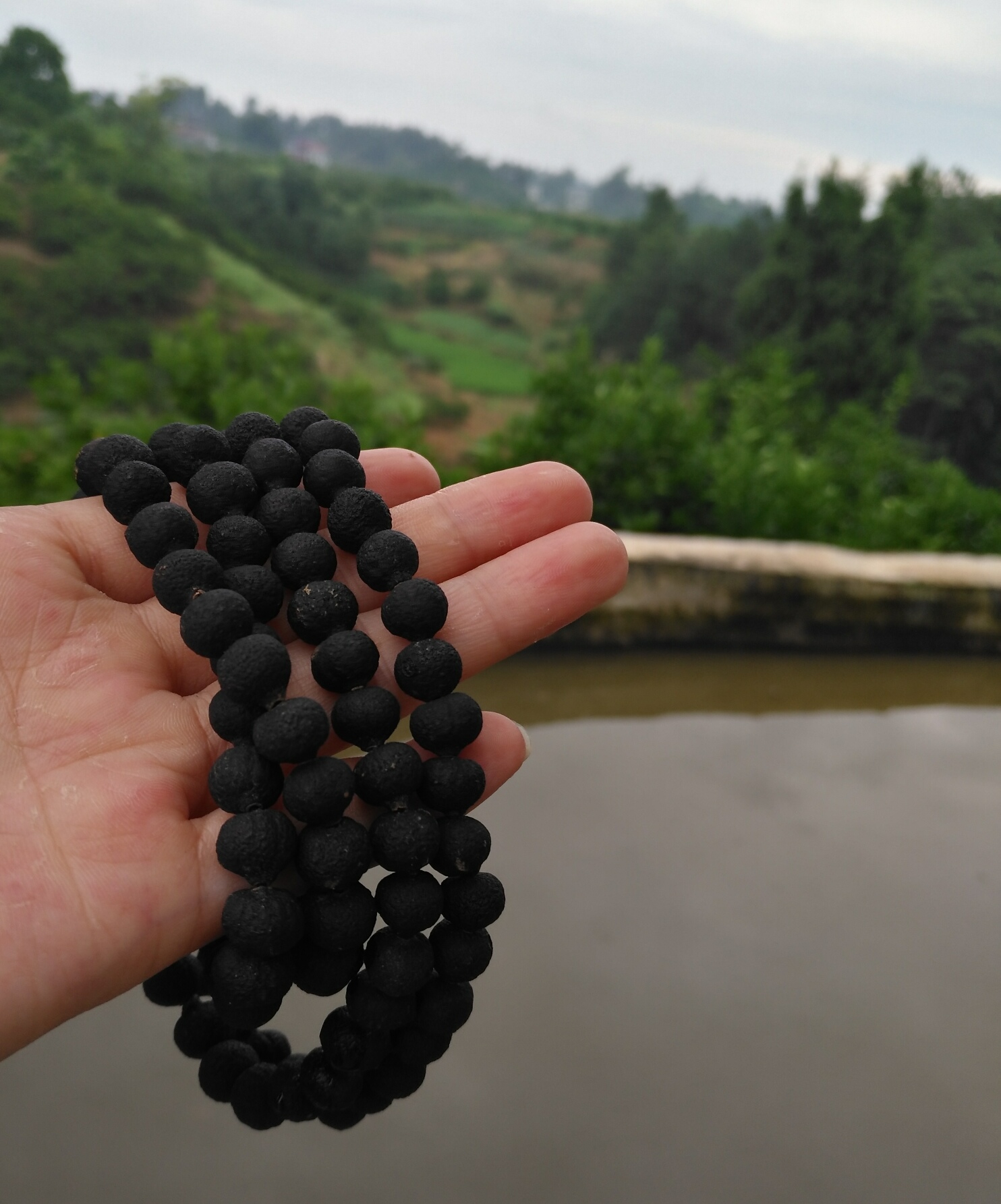 青皮皮子手串精品柑胎手链天然老树大红红袍佛珠