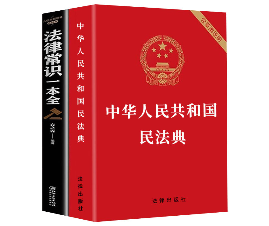 民法典2021婚姻法宪法大字实用适用理解新版典法民法