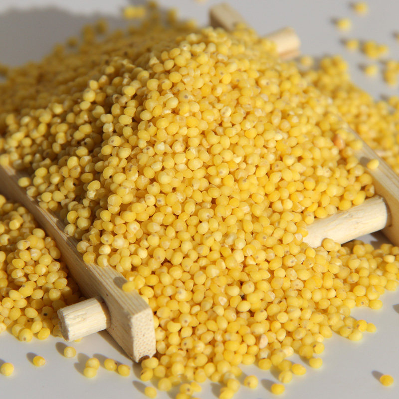 硬大黄米糜子米粳性稷米 蒸黄米饭 黄馍馍摊黄炒米酸粥原料5斤