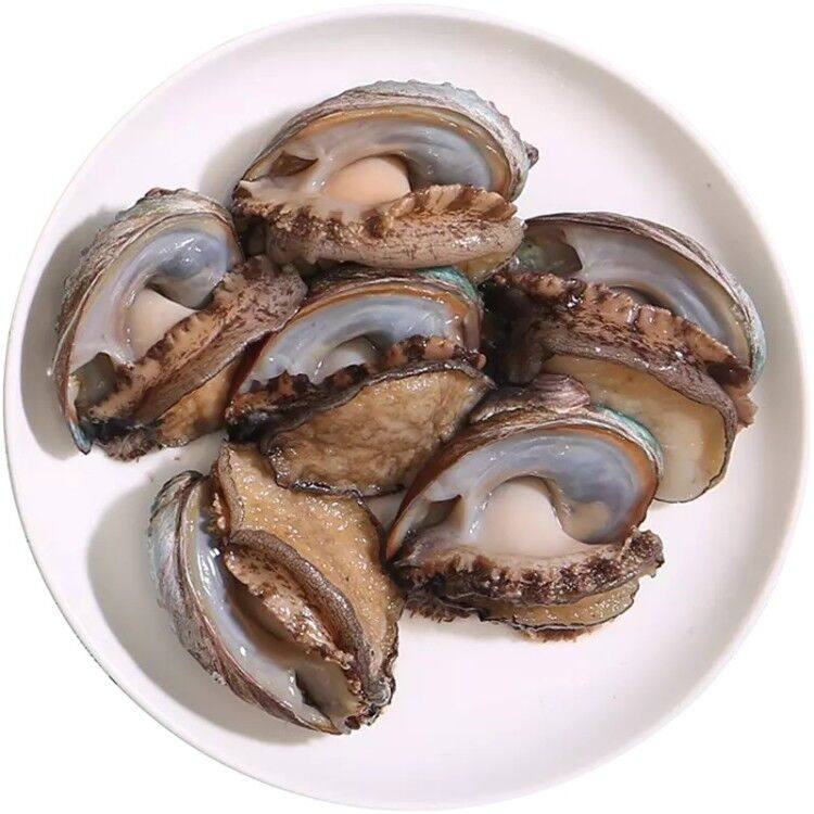 鲍鱼鲜活新鲜野生即食1012头包邮海鲜水产贝类鲍鱼
