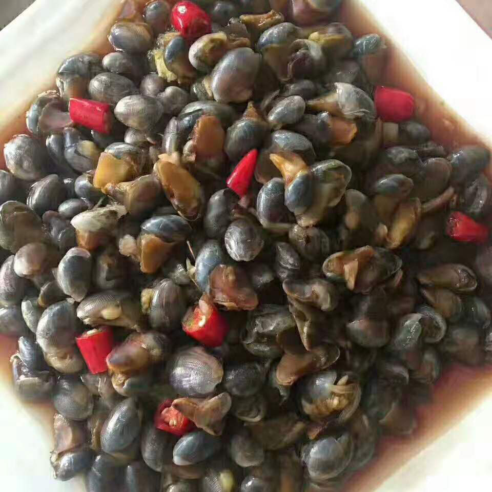 泥螺鲜活新鲜无沙野生黄泥贝类连云港海鲜水产泥螺