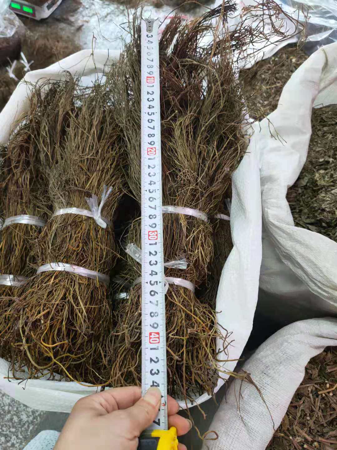 扫把石侧柏泡酒250g生铁寄生去风石新货石刷2020其他药食同源食品