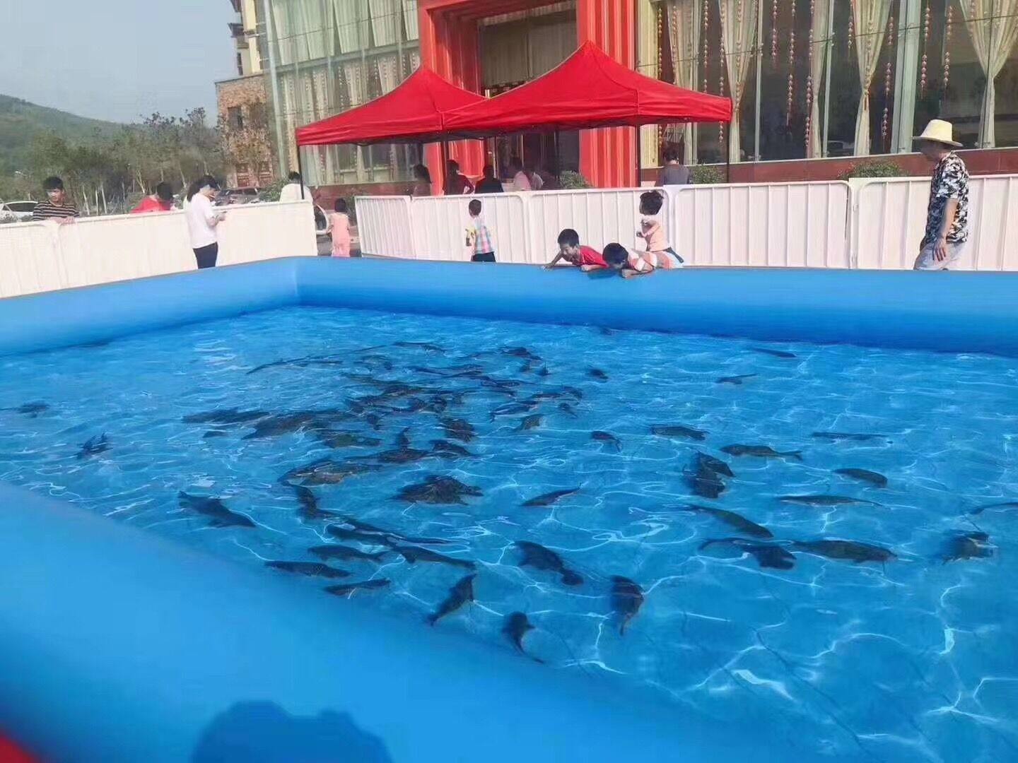 鱼池充气水池大型捕鱼户外成人游泳池钓鱼儿童游泳池