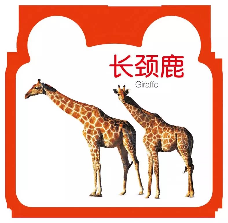 动物王国教书故事书故事益智玩具儿童挂图认知大卡卡片启蒙认知书