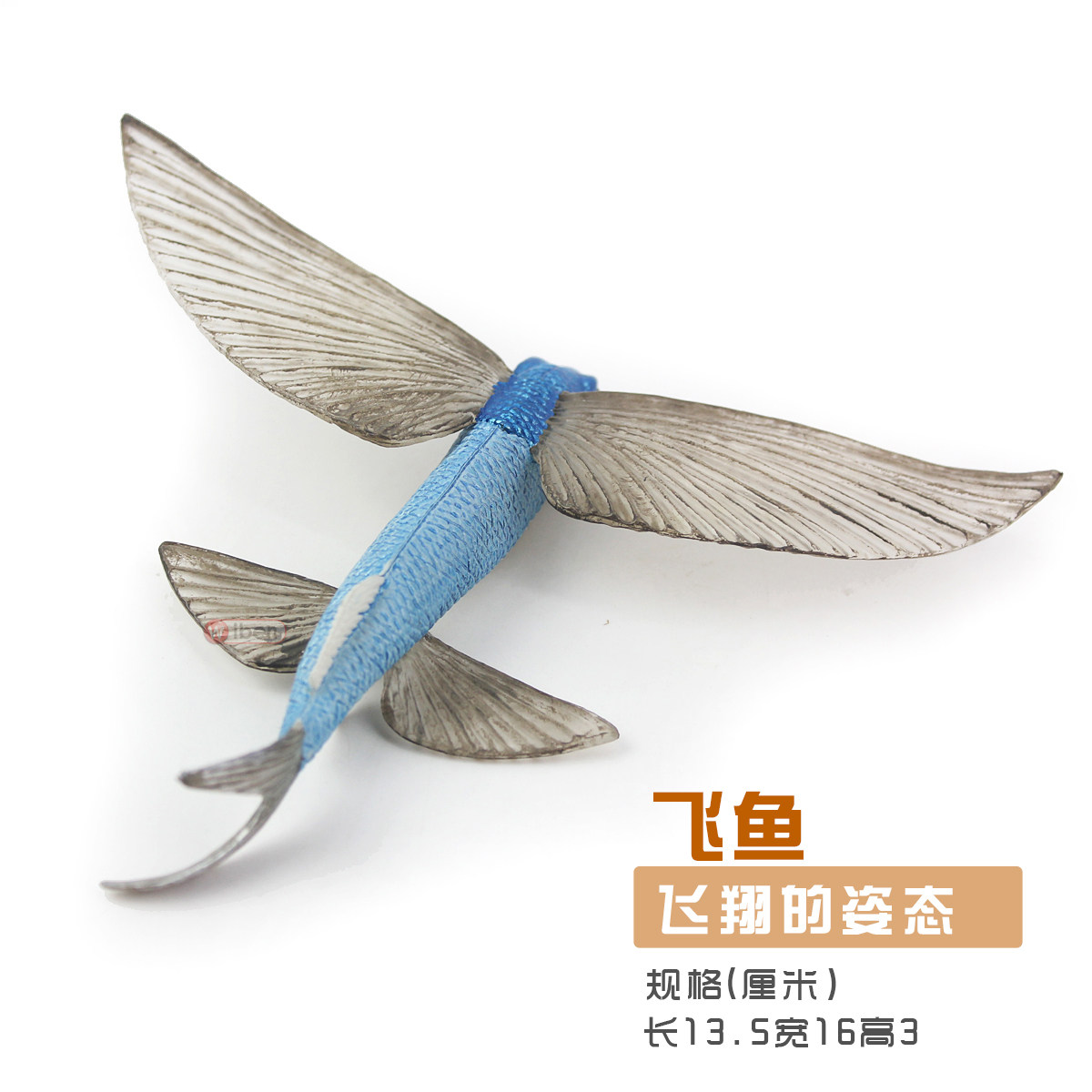 仿真海洋生物玩具飞鱼模型儿童童男女孩礼物海底仿真