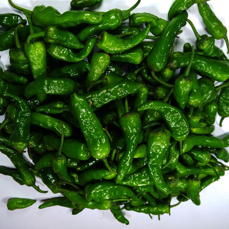 江西特产余干辣椒丰收枫树薄皮小青椒余干椒新鲜其它