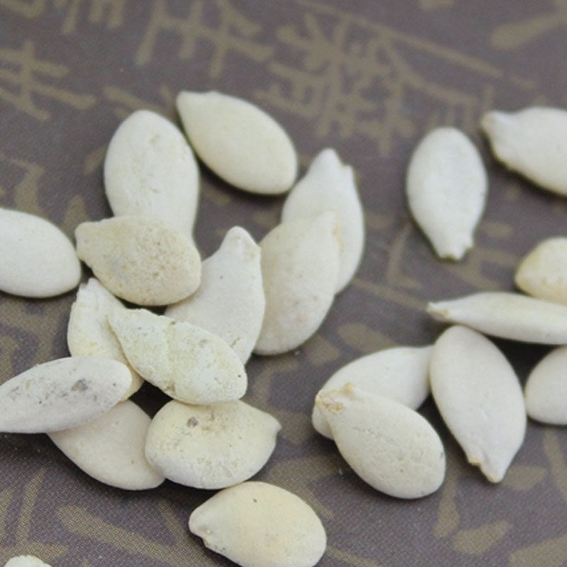 冬瓜子 冬瓜子仁 冬瓜籽 生冬瓜子 白瓜子 冬瓜子500g2斤包邮
