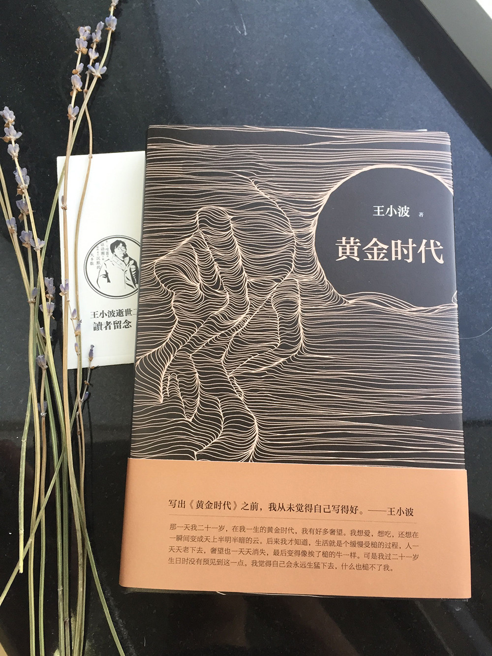 现货正版 黄金时代王小波逝世二十周年精装纪念版黄金时代三十而立似