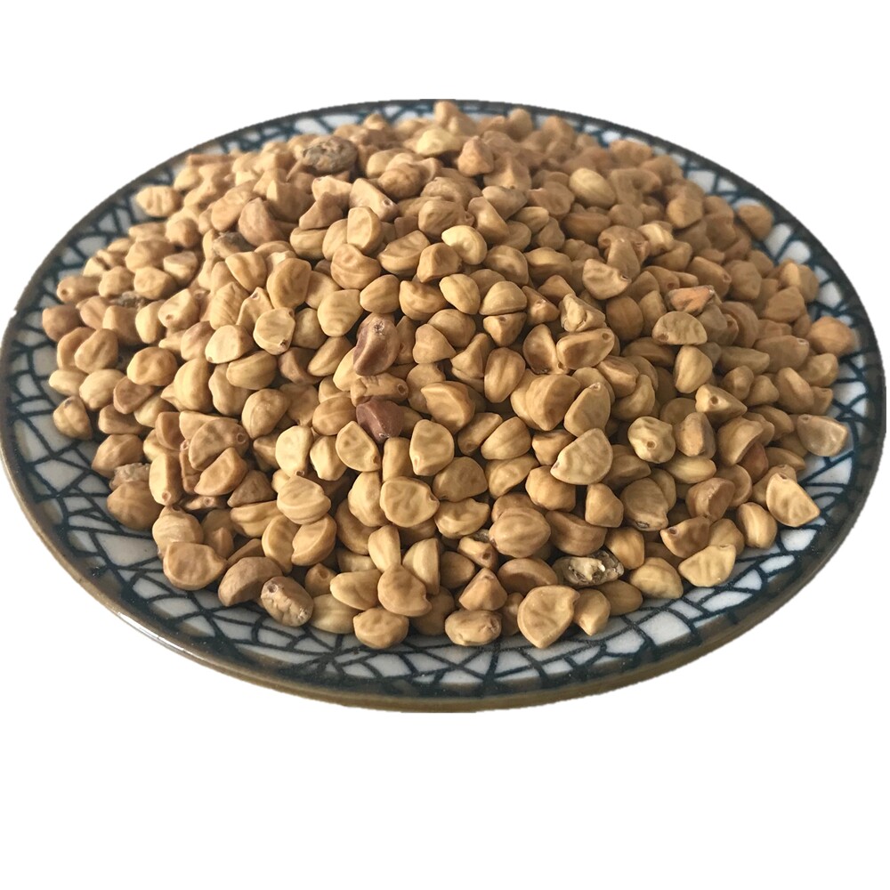 中药材黑白牵牛子 二丑500克