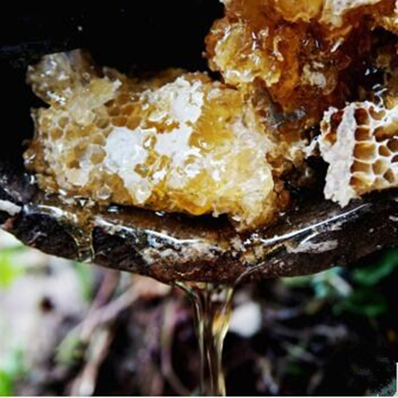 神农架野生土蜂蜜500g正宗深山木桶百花蜜孕妇纯天然结晶蜜