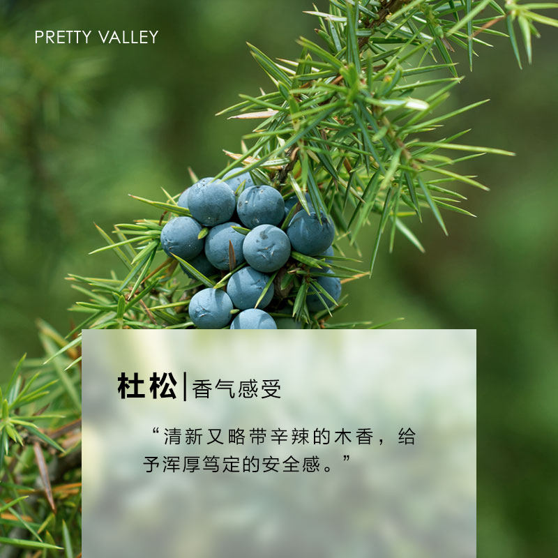 精油汇美舍杜松10ml平衡收敛肌肤香薰单方精油