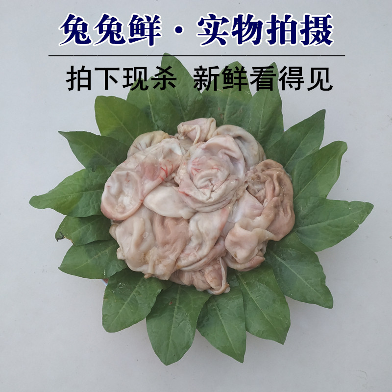 兔子胃兔肚兔新鲜冷冻兔肉火锅爆炒凉拌串串其它生肉制品