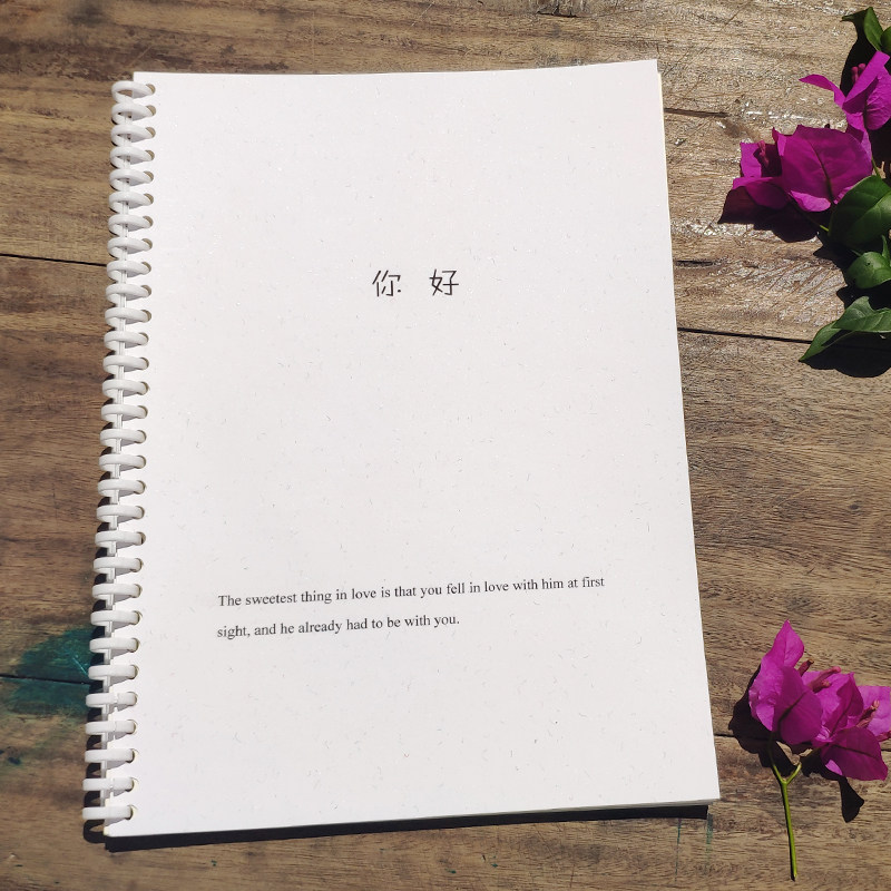 你好特别系列圈装活页课堂学生初中生女生可拆卸笔记本