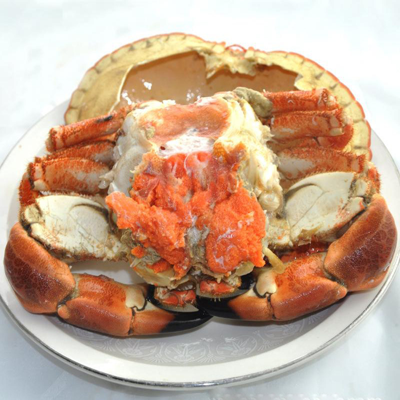 英国鲜活面包蟹活珍宝蟹黄黄金1000g螃蟹海蟹黄金蟹