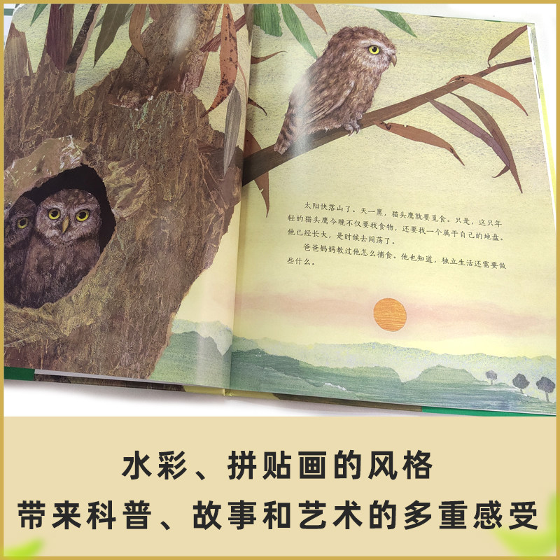 猫头鹰低年级师范大学广西读物睡前共读亲子幼儿书籍绘本