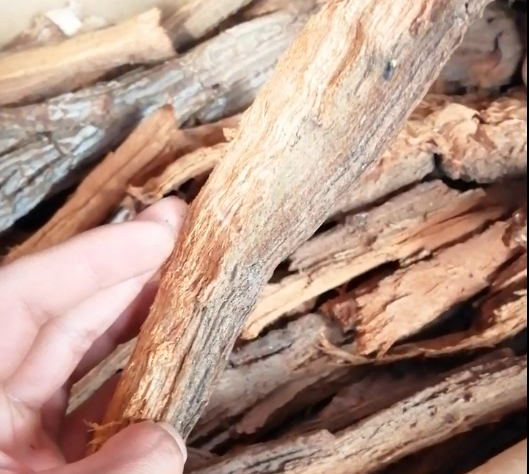 丁家院子胡蜂黄脚筑巢材料沙树皮红娘朽木杉树皮22一斤包邮红安树