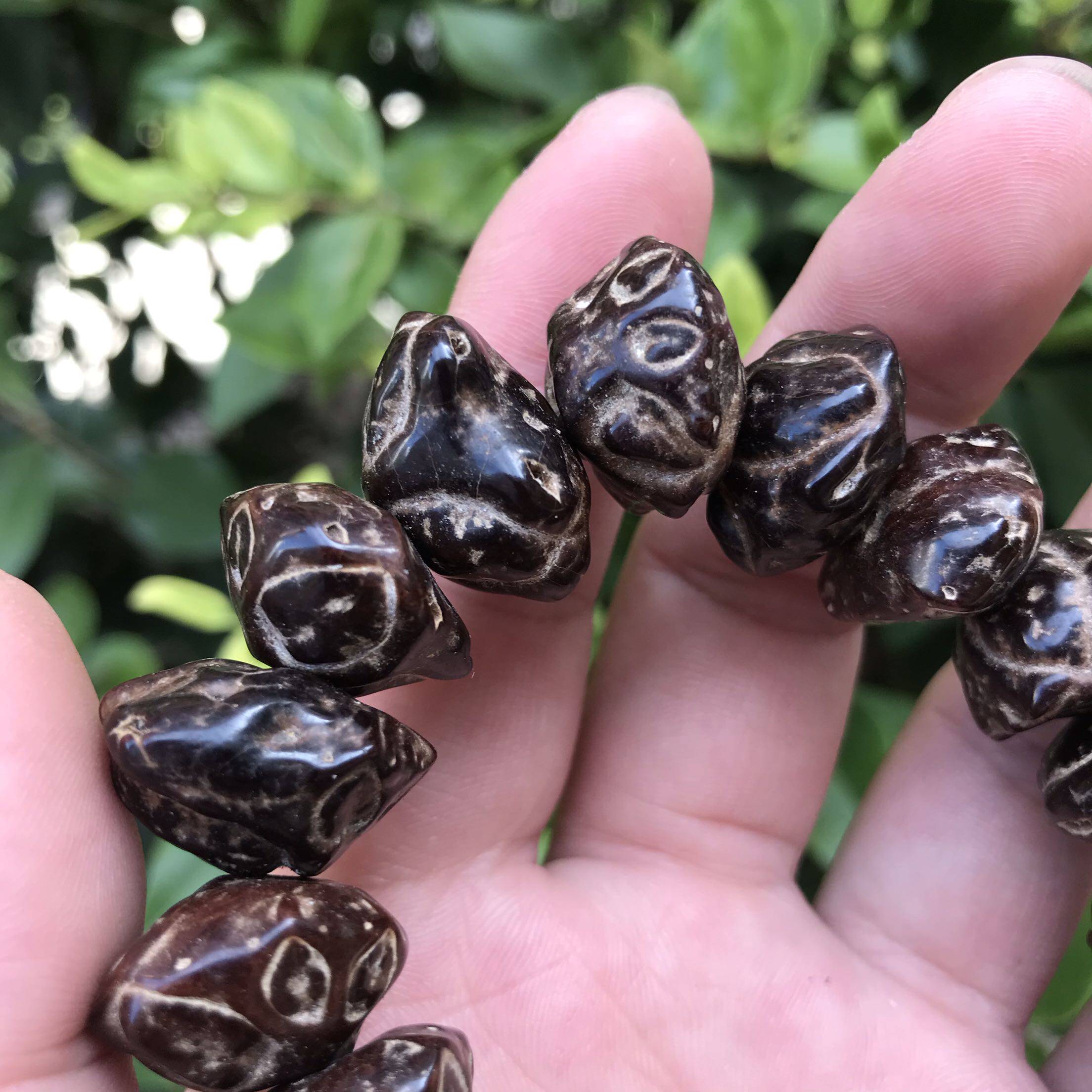 天然黑色天台莲台鬼脸菩提提子佛珠手串文玩手链