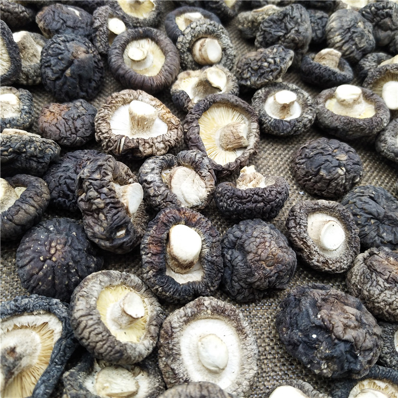 新货西峡黑面菇油面菇农家土特产香菇无根野生香菇类
