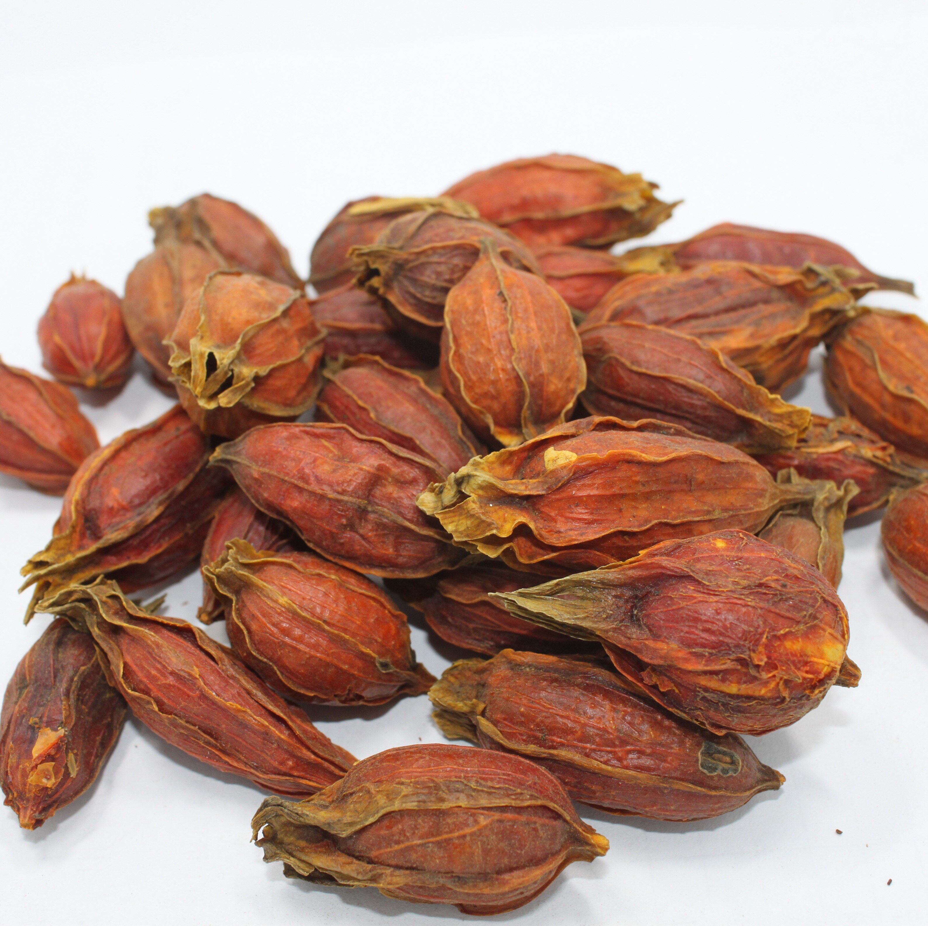 水色黄栀子栀子印染草木diy材料天然植物染料蜡染印染