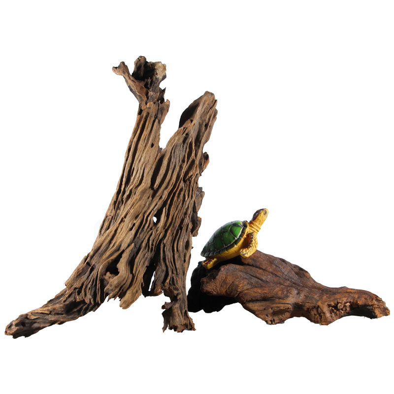 柚木乌龟晒台树桩枝条组合小号免煮大号大型造景