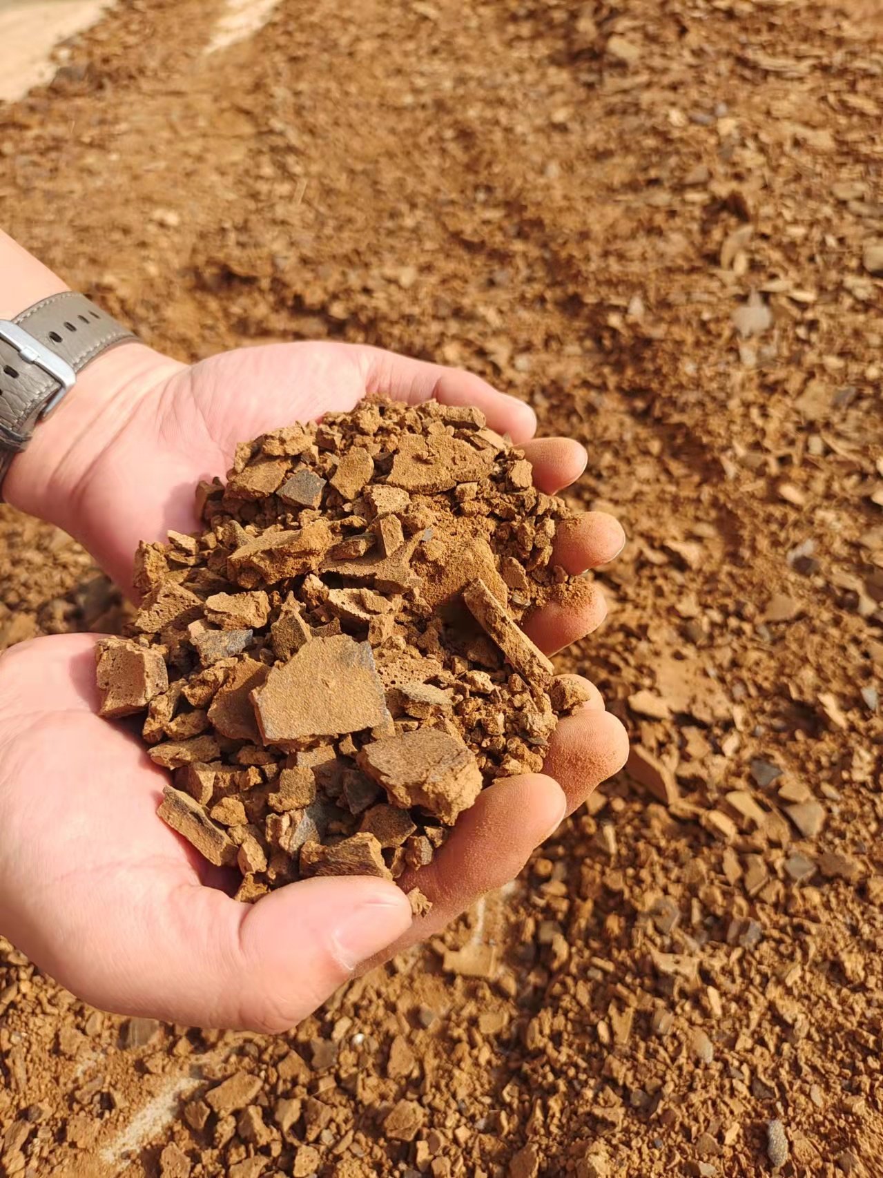 芝麻芝麻油油饼渣子饼香油渣麻渣种花钓鱼打窝介质