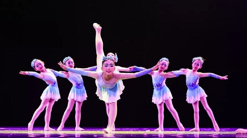 第十届小荷风采冰上花枝舞蹈少儿比赛演出服女童儿童演出服