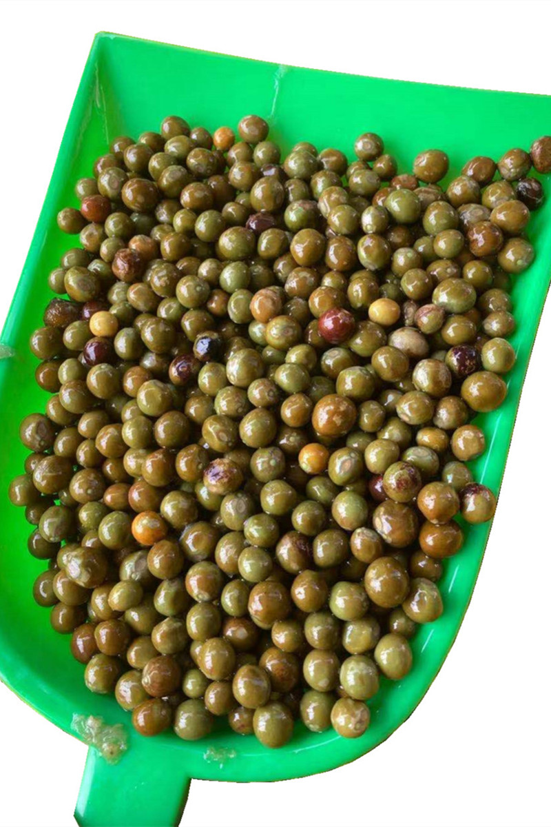 鸡头有点唐哥推荐2021定远炉桥新鲜果头老鸡芡实