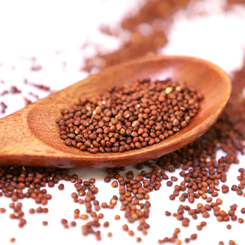 东北延边朝鲜族紫苏韩国烧烤榨油原料食用500克紫苏