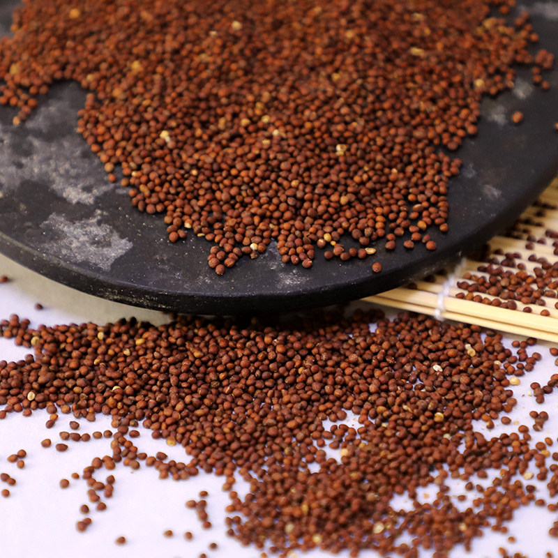 东北延边朝鲜族紫苏韩国烧烤榨油原料食用500克紫苏