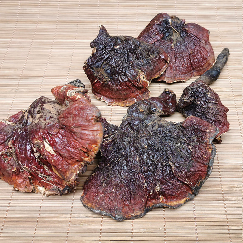 纯野野生西藏灵芝白心白肉赤芝精选整朵干货整枝灵芝