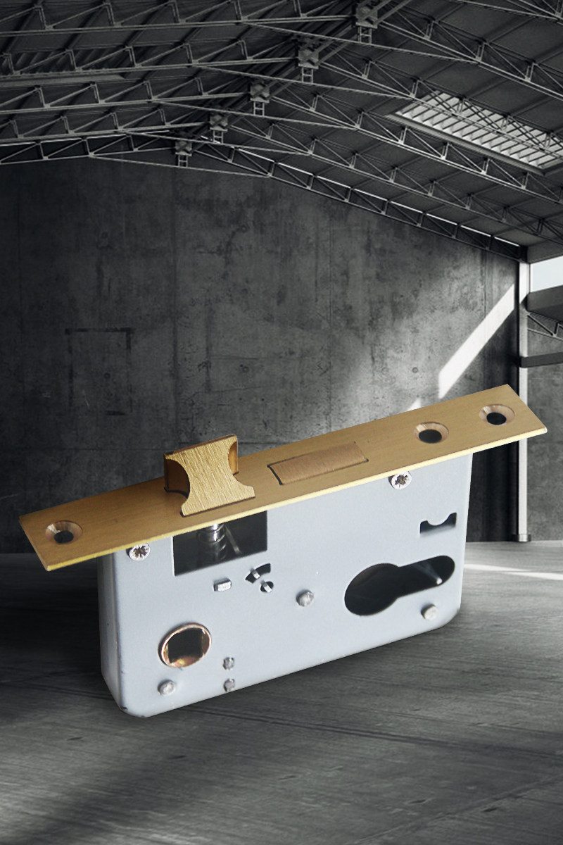 > tina锁具大全 > 家用门锁室内房间卧室通用小50大58老式木门防盗门