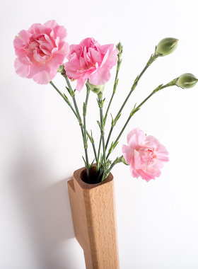 进门走廊墙面装饰墙壁实木简约壁花